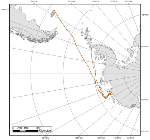 JR141 ship tracks